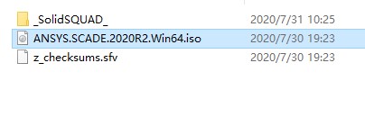 ANSYS SCADE 2020 R2破解版