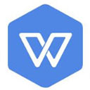 WPS Office 2019政府专业版