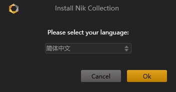 Nik Collection 4.0破解补丁