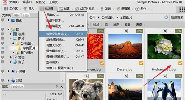 acdsee18绿色破解版 