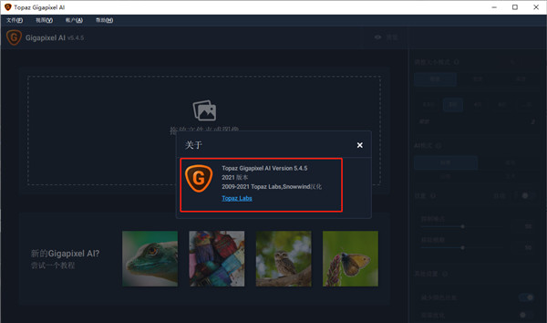topaz gigapixel ai5.4.5汉化补丁
