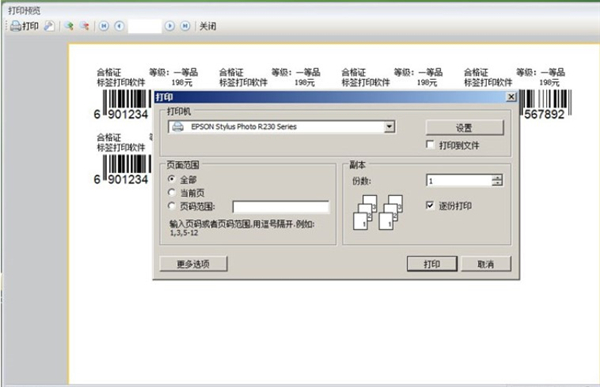 lc标签打印软件绿色破解版