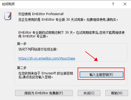 Emurasoft EmEditor Professional 20破解版