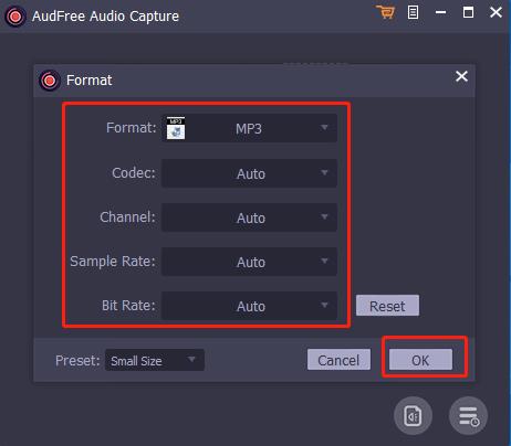 AudFree Audio Capture破解版