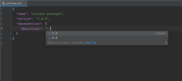 webStorm2021.2绿色版