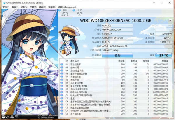 CrystalDiskInfo萌妹版