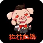 拉菲直播app安卓版