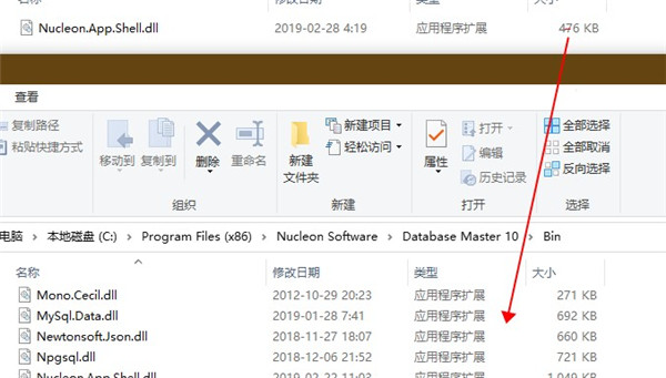 Nucleon Database Master破解版