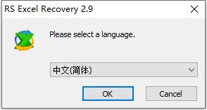 RS Excel Recovery破解版