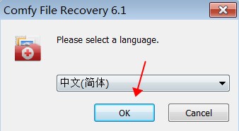 Comfy File Recovery注册码