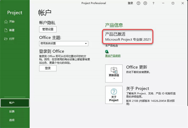 project2021专业版