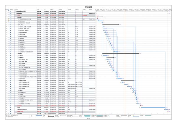 project2021专业版