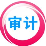 鼎信诺审计系统修改版