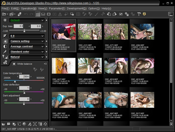 SILKYPIX Developer Studio Pro 11破解版