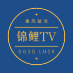 锦鲤TV官方版