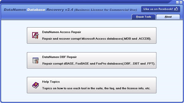 DataNumen Database Recovery破解版